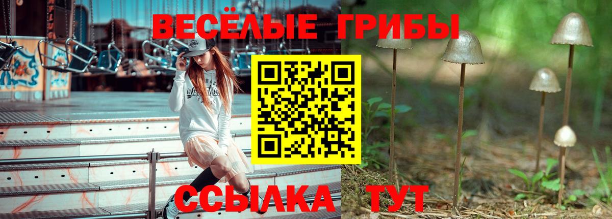Псилоцибиновые грибы прущие грибы  Вход с VPN  Псилоцибиновые грибы MAGIC MUSHROOMS  Заводоуковск 